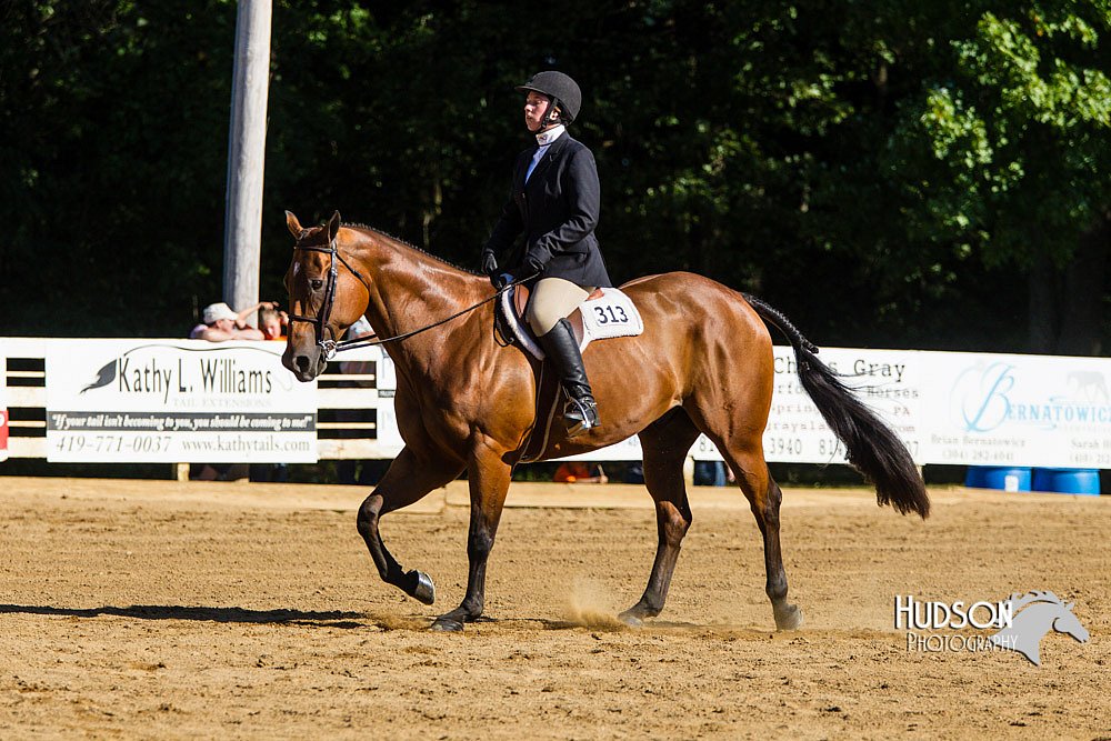 4H-Distr-090813-1756.jpg
