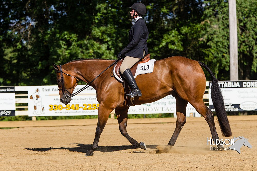 4H-Distr-090813-1757.jpg