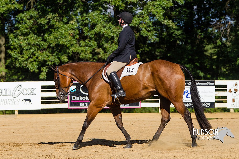 4H-Distr-090813-1758.jpg
