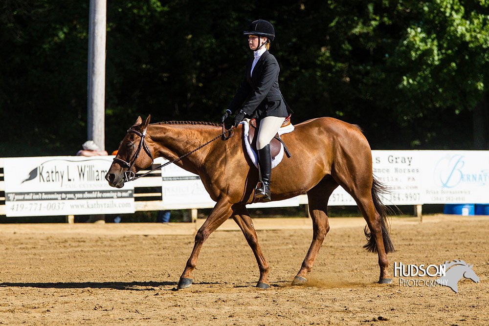 4H-Distr-090813-1764.jpg