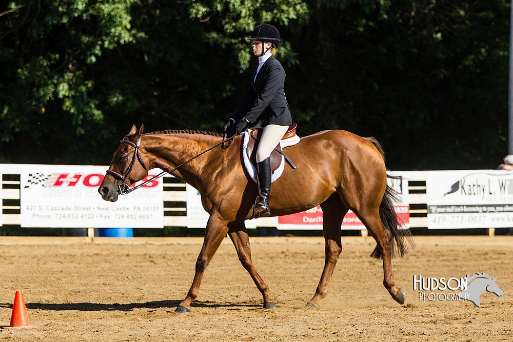 4H-Distr-090813-1765.jpg