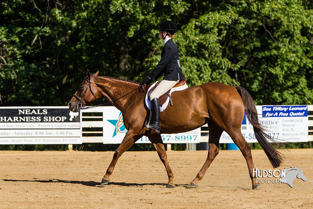 4H-Distr-090813-1766.jpg