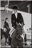 4H-Distr-090813-1729.jpg
