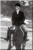 4H-Distr-090813-1730.jpg
