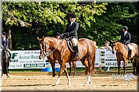 4H-Distr-090813-1731.jpg