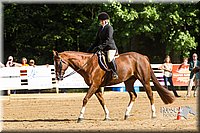 4H-Distr-090813-1733.jpg