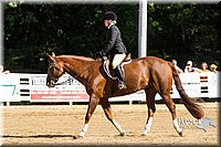 4H-Distr-090813-1734.jpg