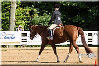 4H-Distr-090813-1735.jpg