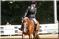 4H-Distr-090813-1739.jpg