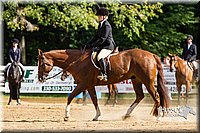 4H-Distr-090813-1741.jpg