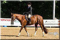 4H-Distr-090813-1745.jpg