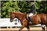 4H-Distr-090813-1746.jpg