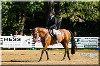4H-Distr-090813-1749.jpg