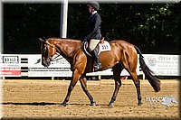 4H-Distr-090813-1750.jpg