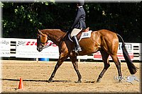 4H-Distr-090813-1751.jpg