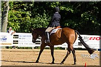 4H-Distr-090813-1752.jpg
