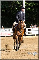 4H-Distr-090813-1754.jpg