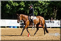 4H-Distr-090813-1755.jpg