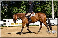 4H-Distr-090813-1757.jpg