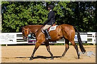4H-Distr-090813-1758.jpg