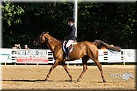 4H-Distr-090813-1759.jpg