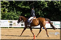 4H-Distr-090813-1760.jpg