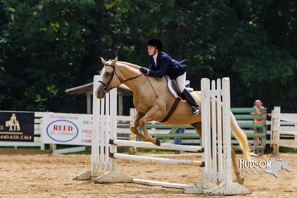 4H-Distr-090813-1543.jpg