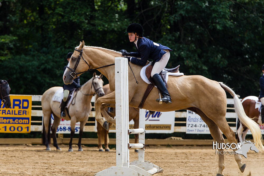 4H-Distr-090813-1544.jpg