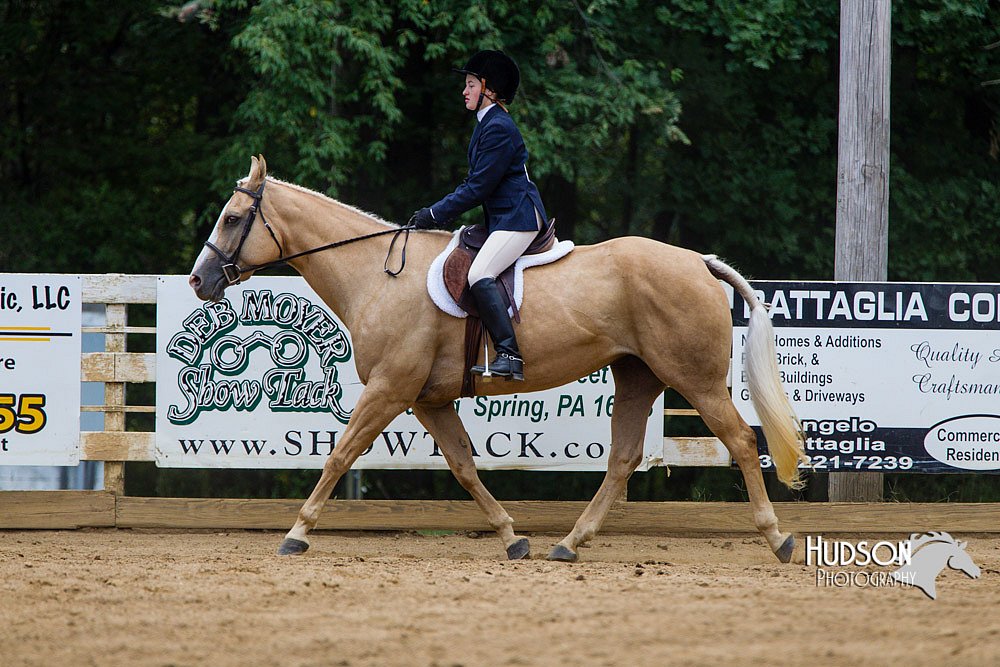 4H-Distr-090813-1546.jpg