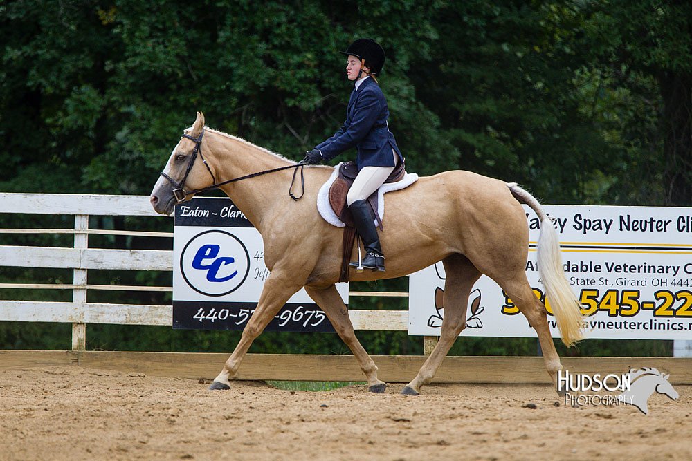 4H-Distr-090813-1547.jpg
