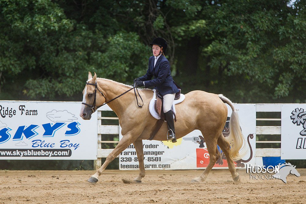 4H-Distr-090813-1550.jpg