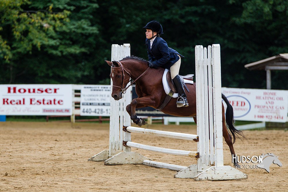 4H-Distr-090813-1555.jpg