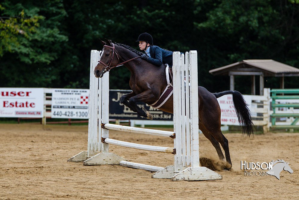 4H-Distr-090813-1557.jpg