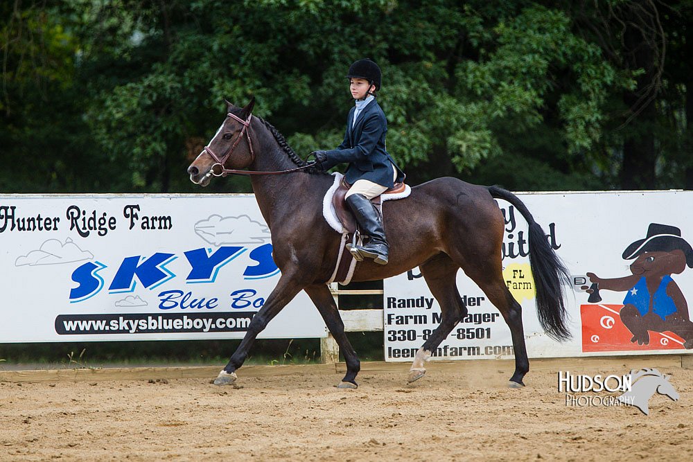 4H-Distr-090813-1566.jpg