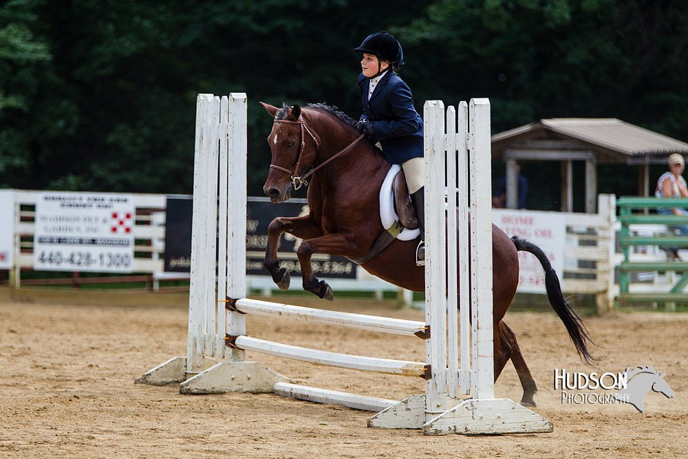 4H-Distr-090813-1570.jpg