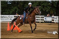 4H-Distr-090613-0164.jpg