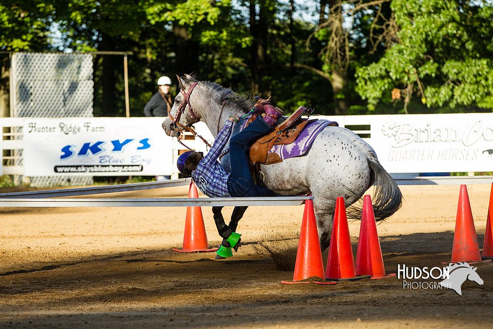 4H-Distr-090613-0054.jpg