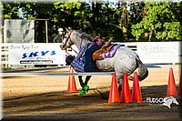 4H-Distr-090613-0054.jpg