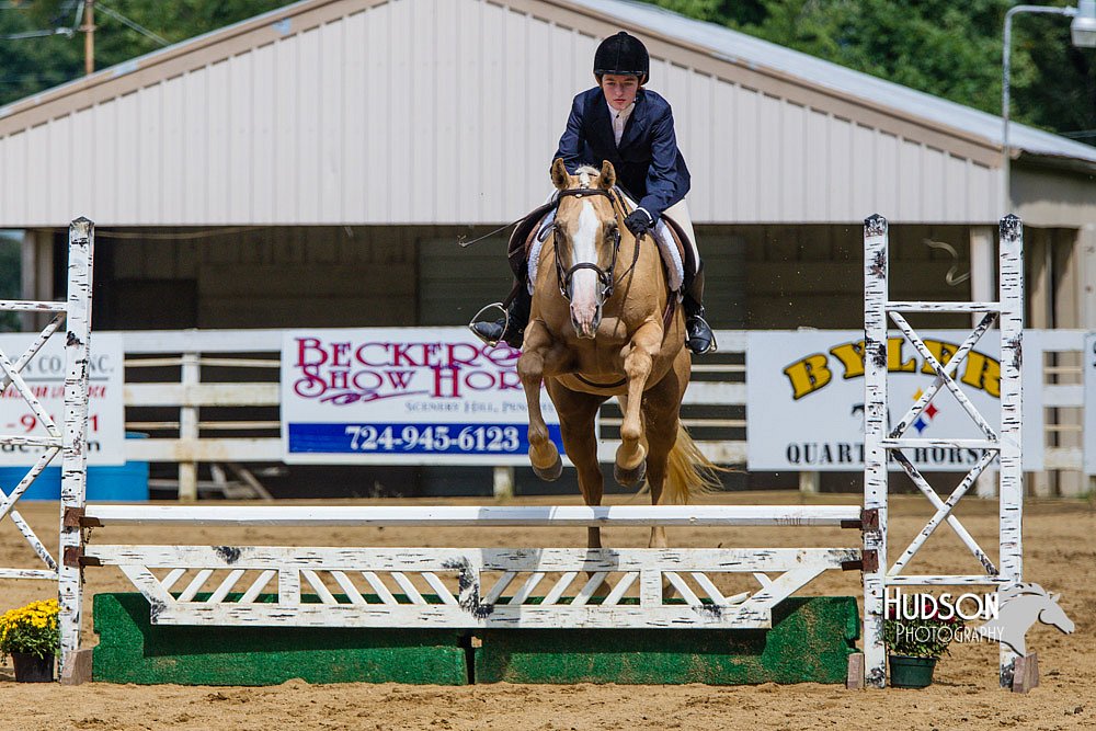 4H-Distr-090813-1510.jpg