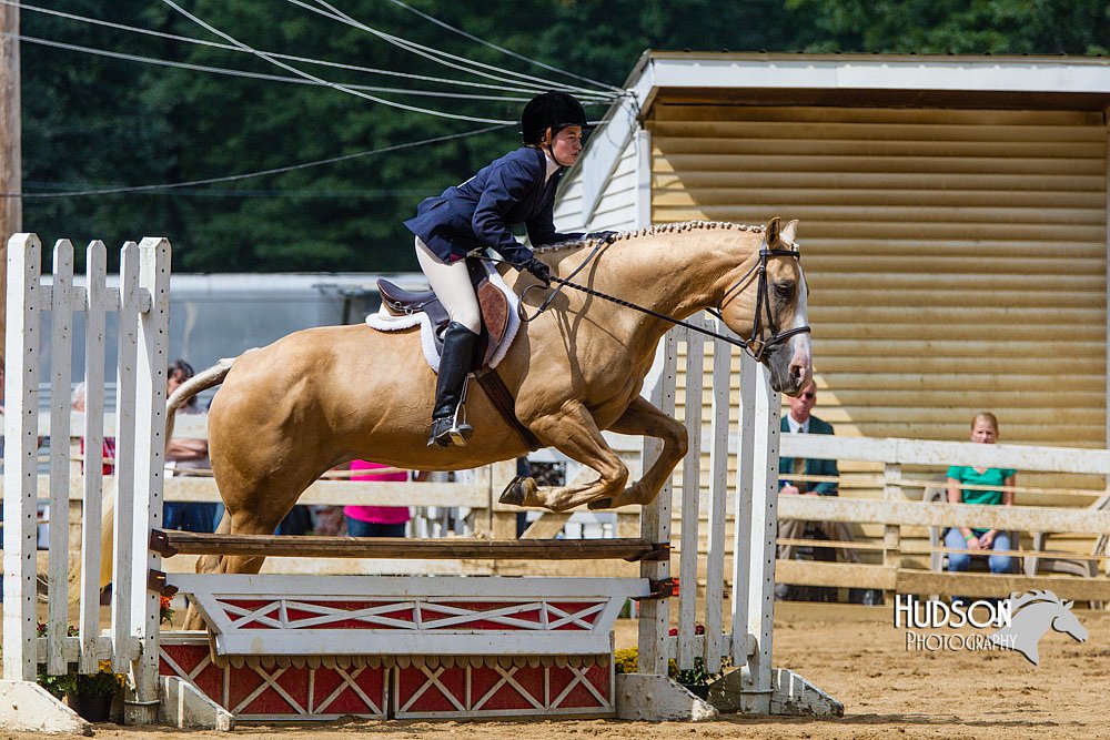 4H-Distr-090813-1513.jpg