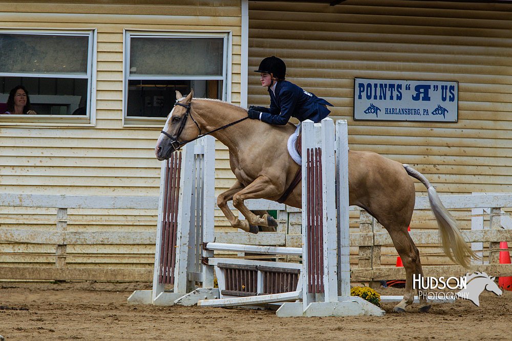 4H-Distr-090813-1515.jpg