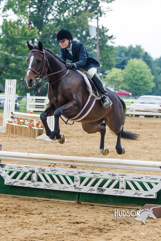 4H-Distr-090813-1535.jpg