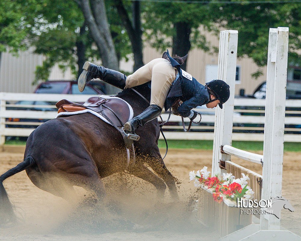 4H-Distr-090813-1538.jpg