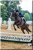 4H-Distr-090813-1534.jpg