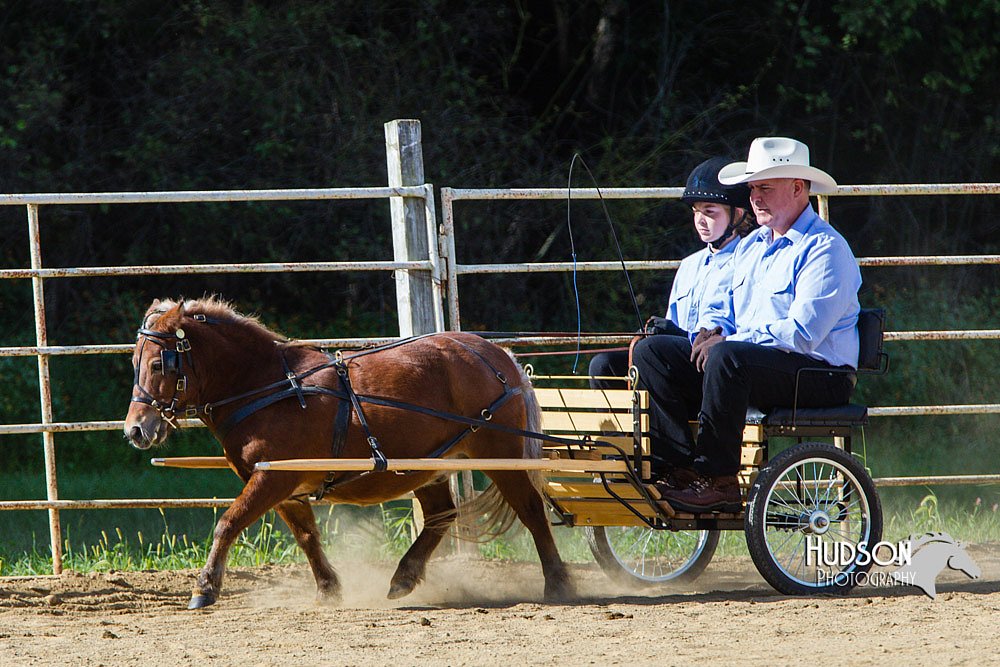 4H-Distr-090713-0643.jpg