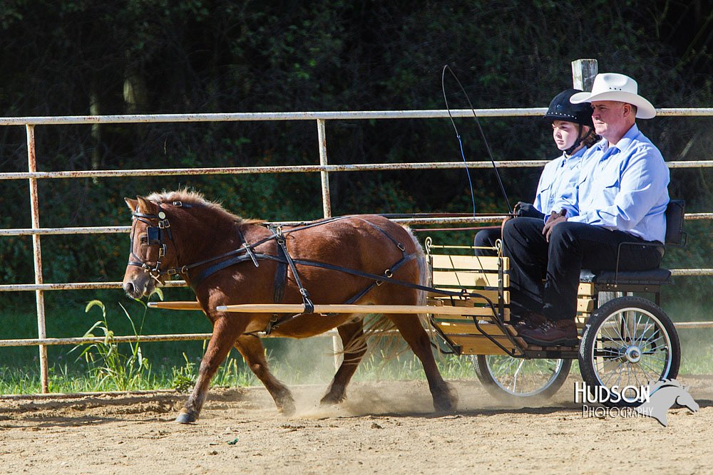 4H-Distr-090713-0644.jpg