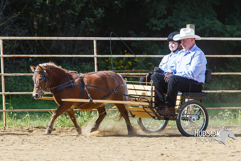 4H-Distr-090713-0650.jpg