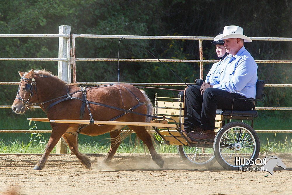 4H-Distr-090713-0651.jpg