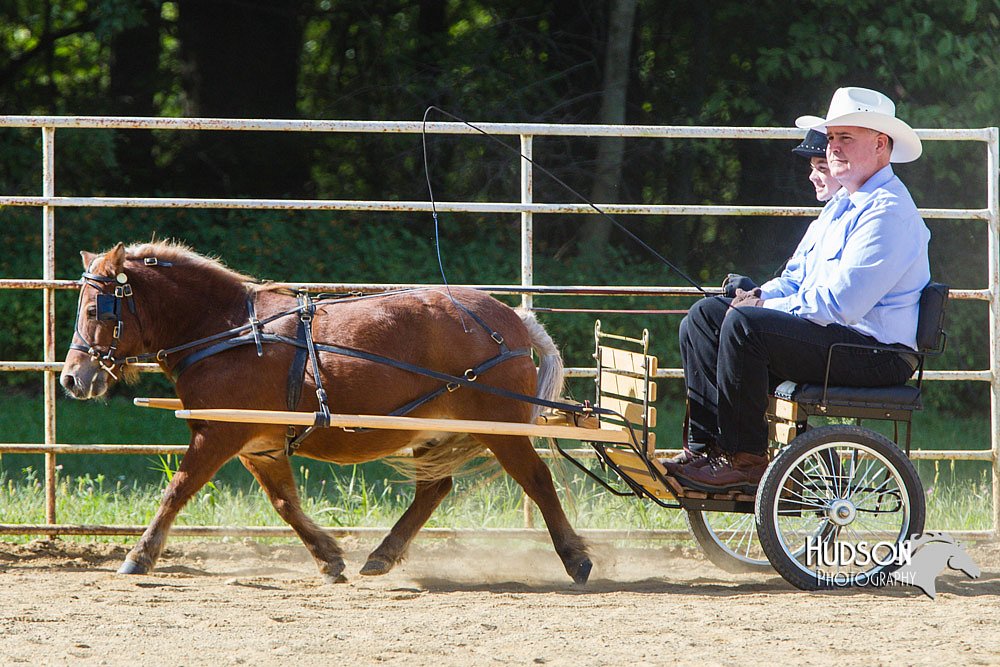 4H-Distr-090713-0652.jpg