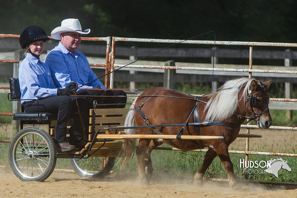 4H-Distr-090713-0655.jpg